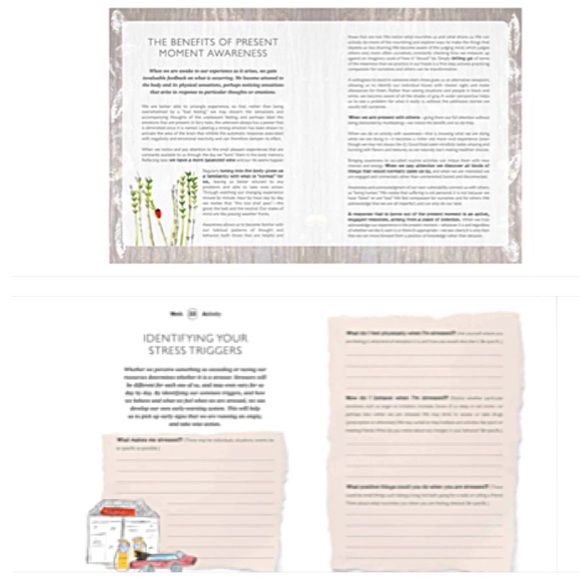 NEW A YEAR OF LIVING MINDFULLY Book Weekly Mindfulness Meditation Guide Activity - Picture 10 of 10